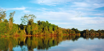 Brasile - Pantanal - laguna